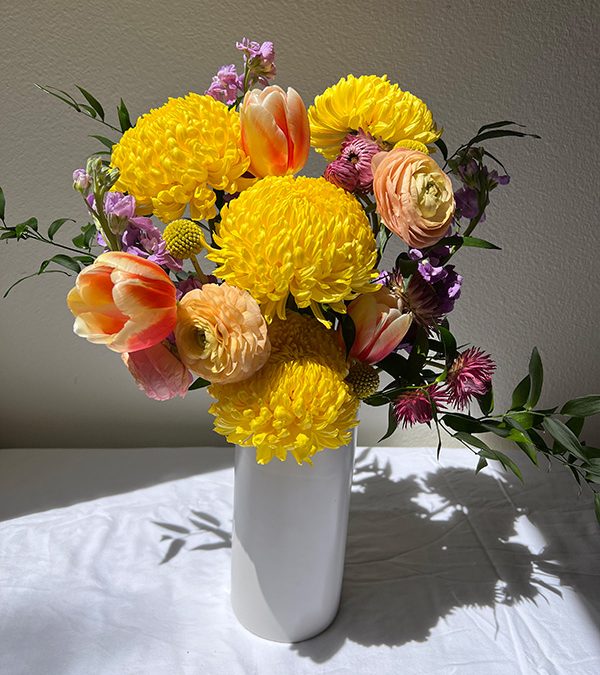 Medium Seasonal Designer Choice Arrangement