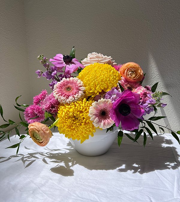 Petite Seasonal Designer Choice Arrangement