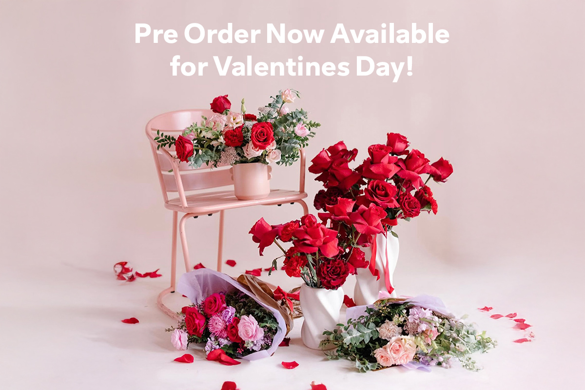 Pre order now available for valentines day!