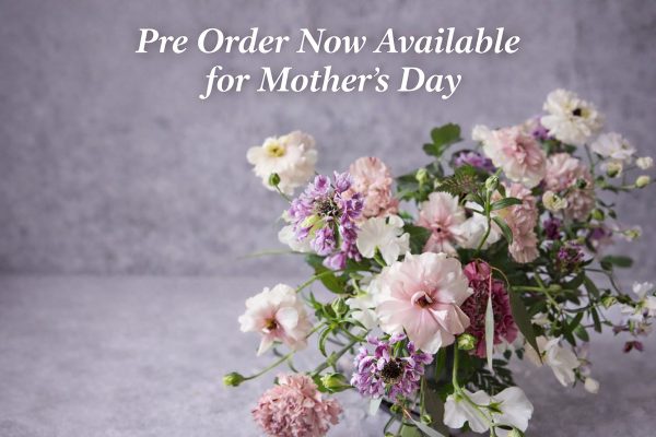 Pre Order now available for Mother's Day